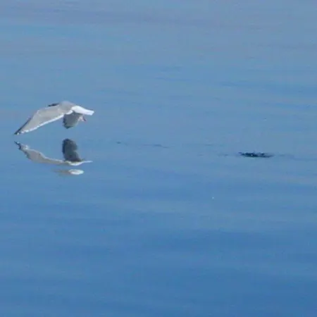 Otel Duenenblick Doppelzimmer Leuchtturm *